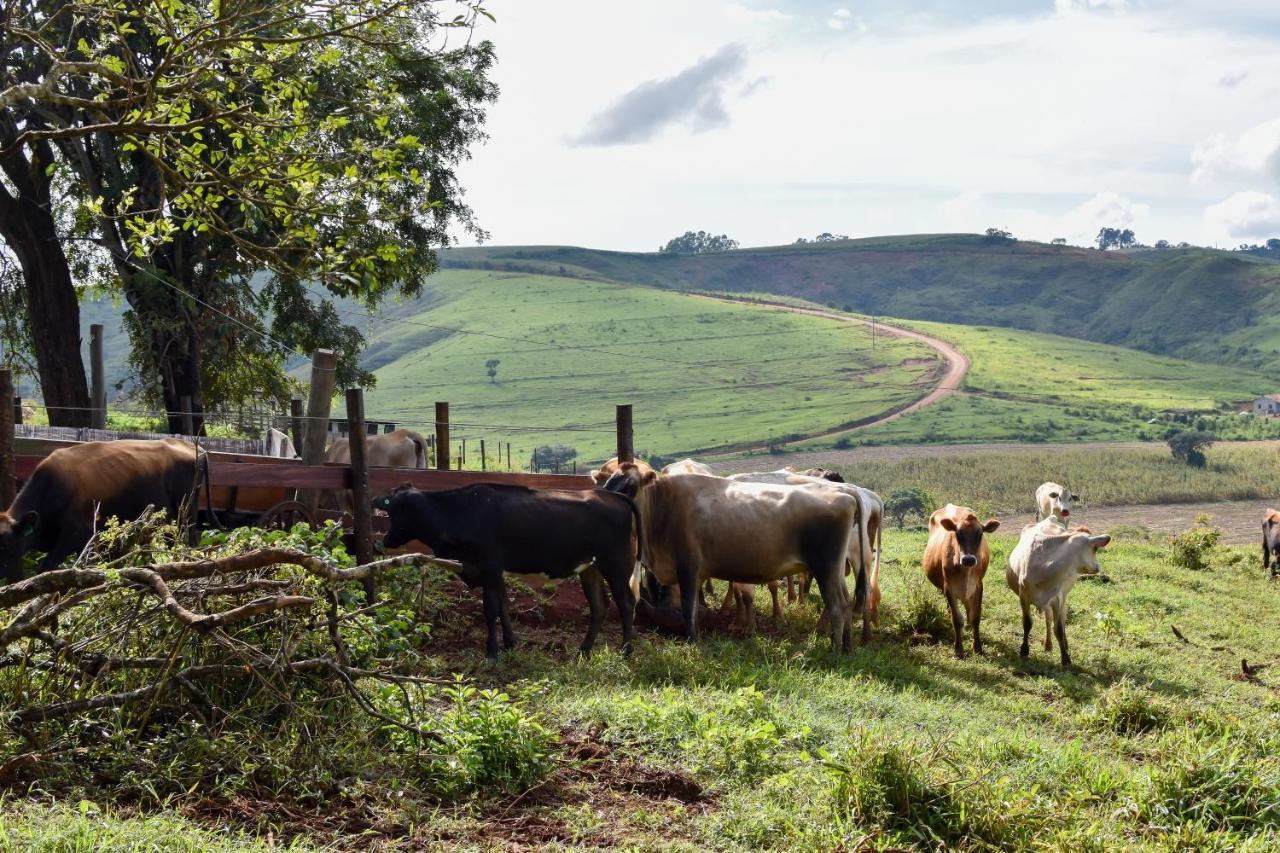 Bubble Pingo Do Mula Serra Da Canastra São Roque de Minas Exterior foto