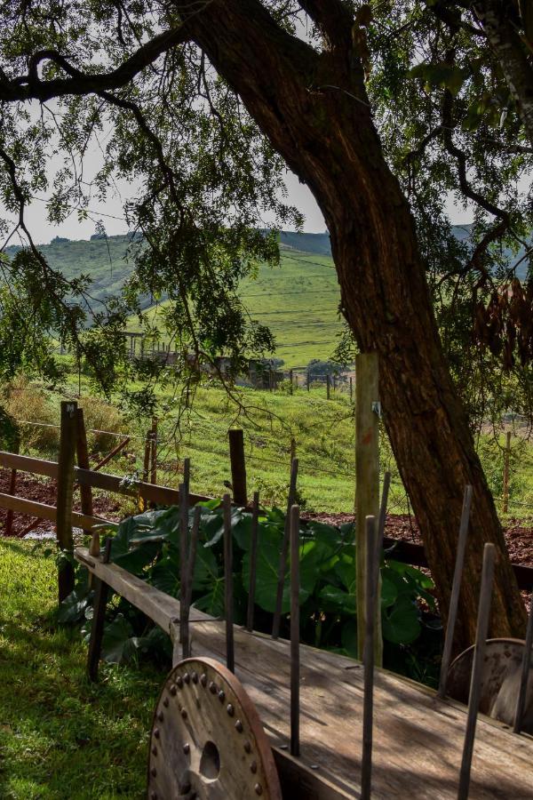 Bubble Pingo Do Mula Serra Da Canastra São Roque de Minas Exterior foto